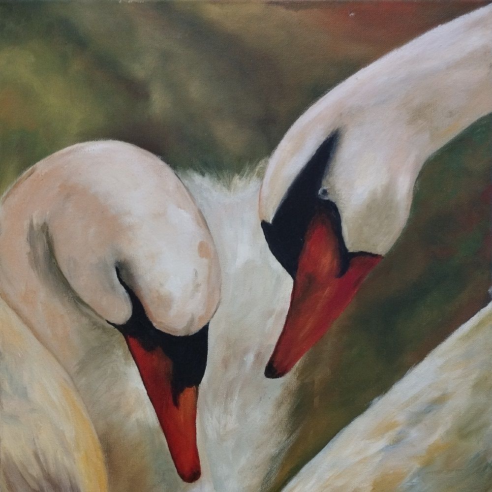 Cisnes